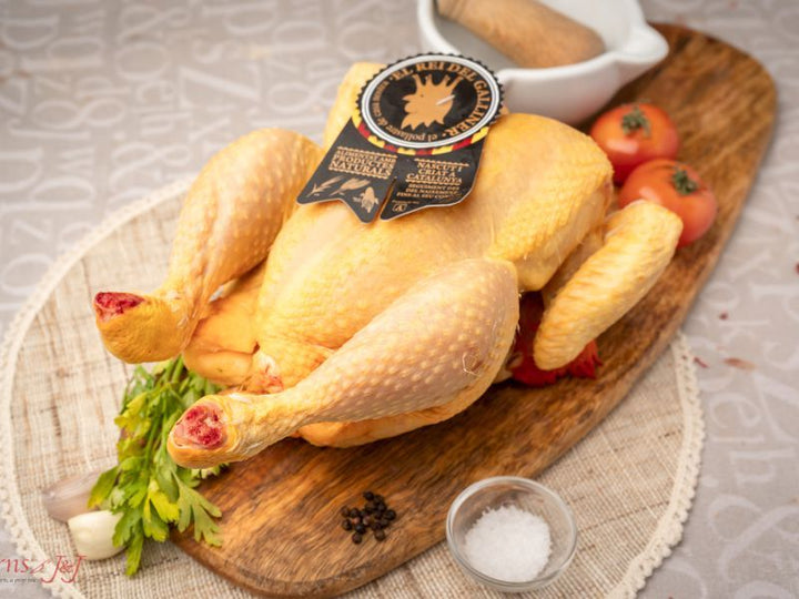 Pollo El rei de l'Empordà