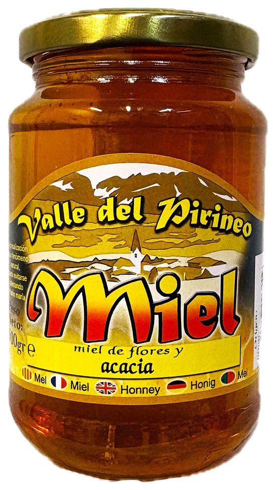 MIEL DEL VALLE DEL PIRINEO - PURA - ARTESANA