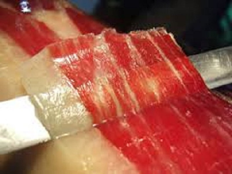 Jamón 5 jotas 100% ibérico de Bellota pata negra