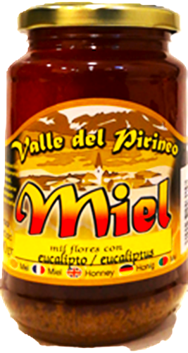 MIEL DEL VALLE DEL PIRINEO - PURA - ARTESANA