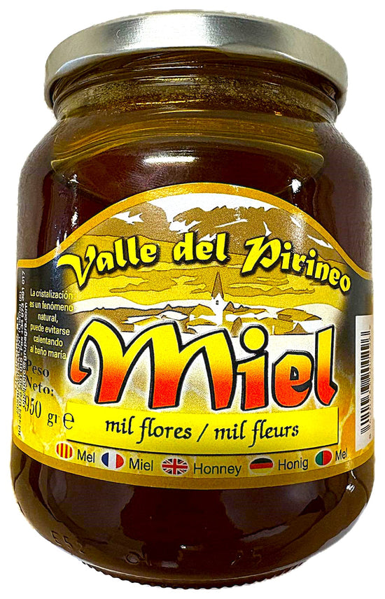 MIEL DEL VALLE DEL PIRINEO - MIL FLORES - NATURAL - TARRO DE 950 GRAMOS