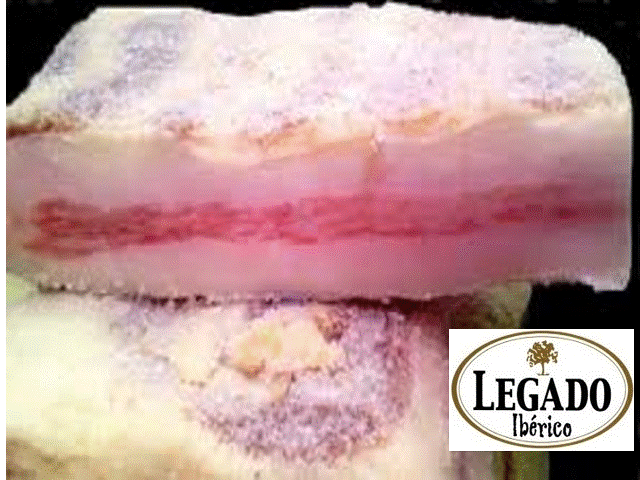 PANCETA IBÉRICA CURADA "LEGADO IBÉRICO" 1 KILO EN 2 TACOS AL VACIO