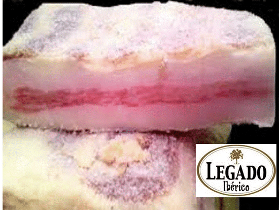 PANCETA IBÉRICA CURADA "LEGADO IBÉRICO" 1 KILO EN 2 TACOS AL VACIO
